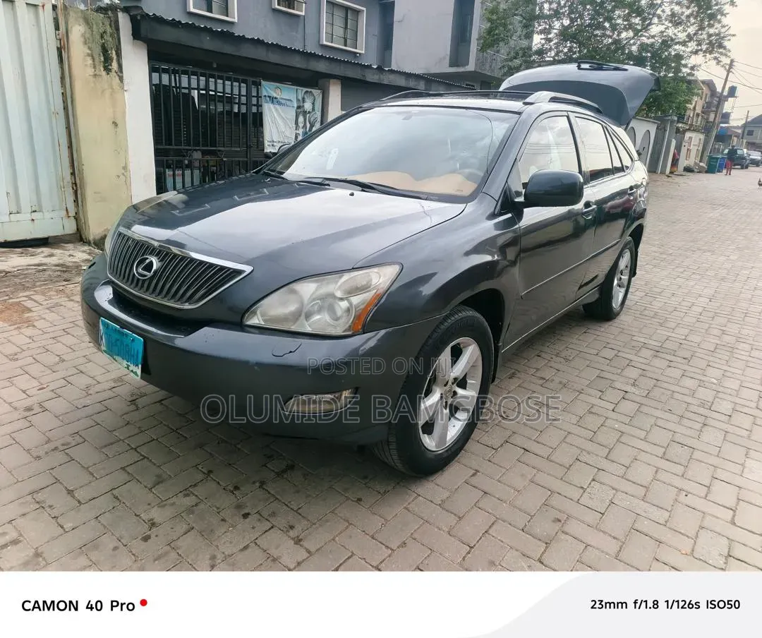 Lexus RX 2006 Gray