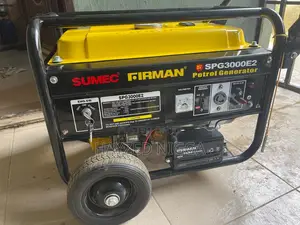 Firman Generator Spg3000e2
