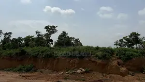  Hospital Plot Dape 