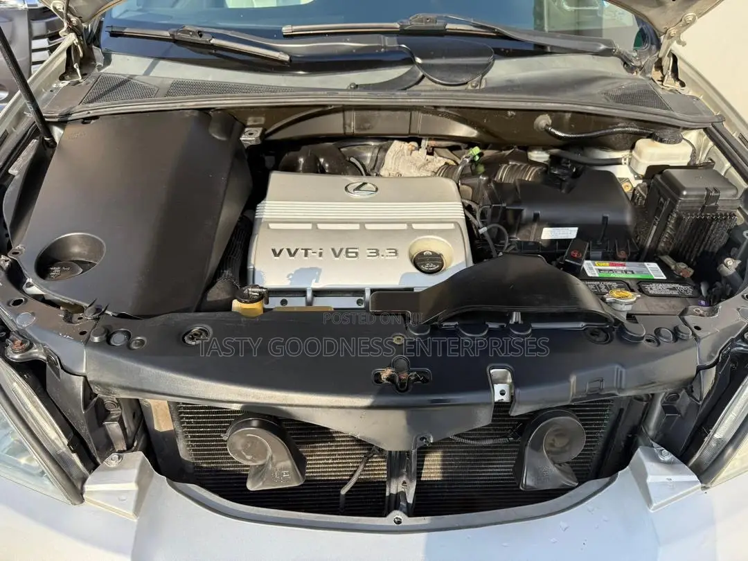 Lexus RX 330 2006 Silver