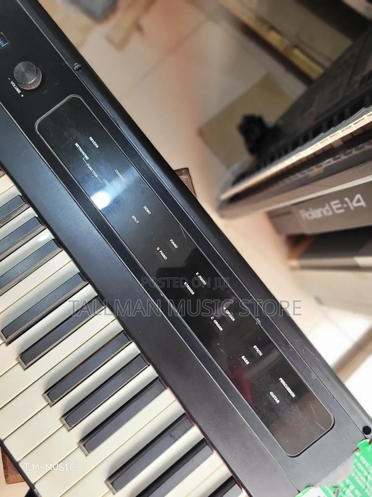 Reve Rp20 Piano