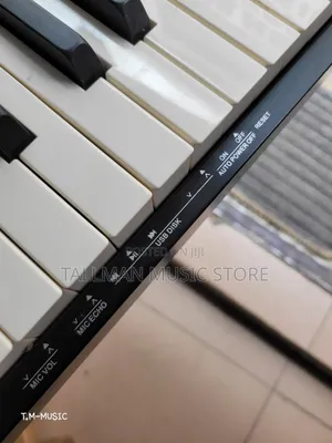 Reve Rp20 Piano