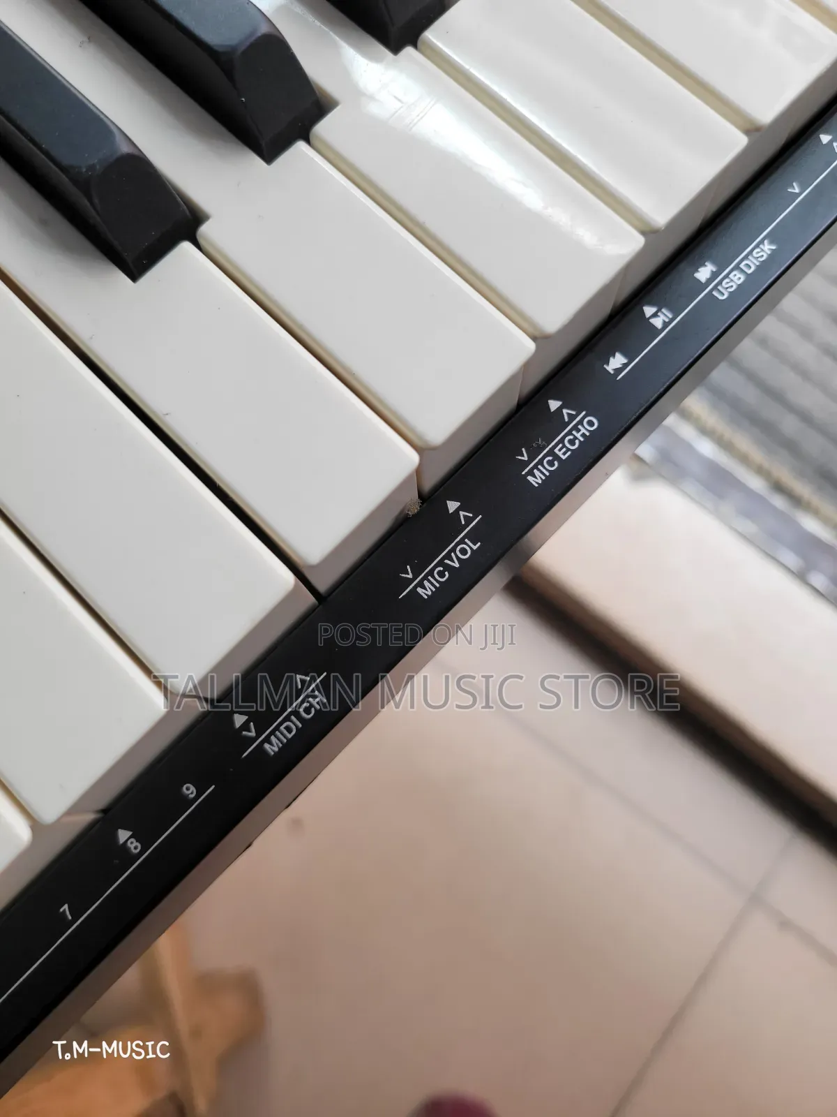 Reve Rp20 Piano