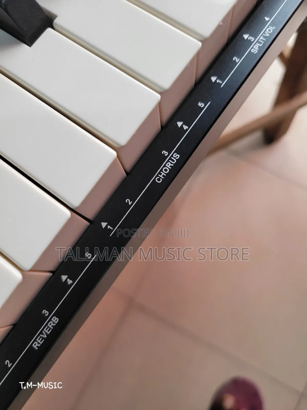 Reve Rp20 Piano