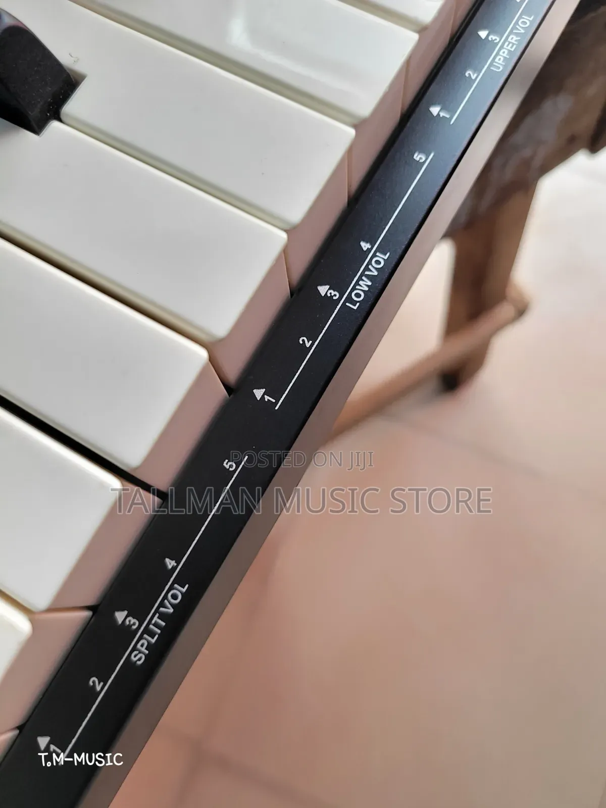 Reve Rp20 Piano