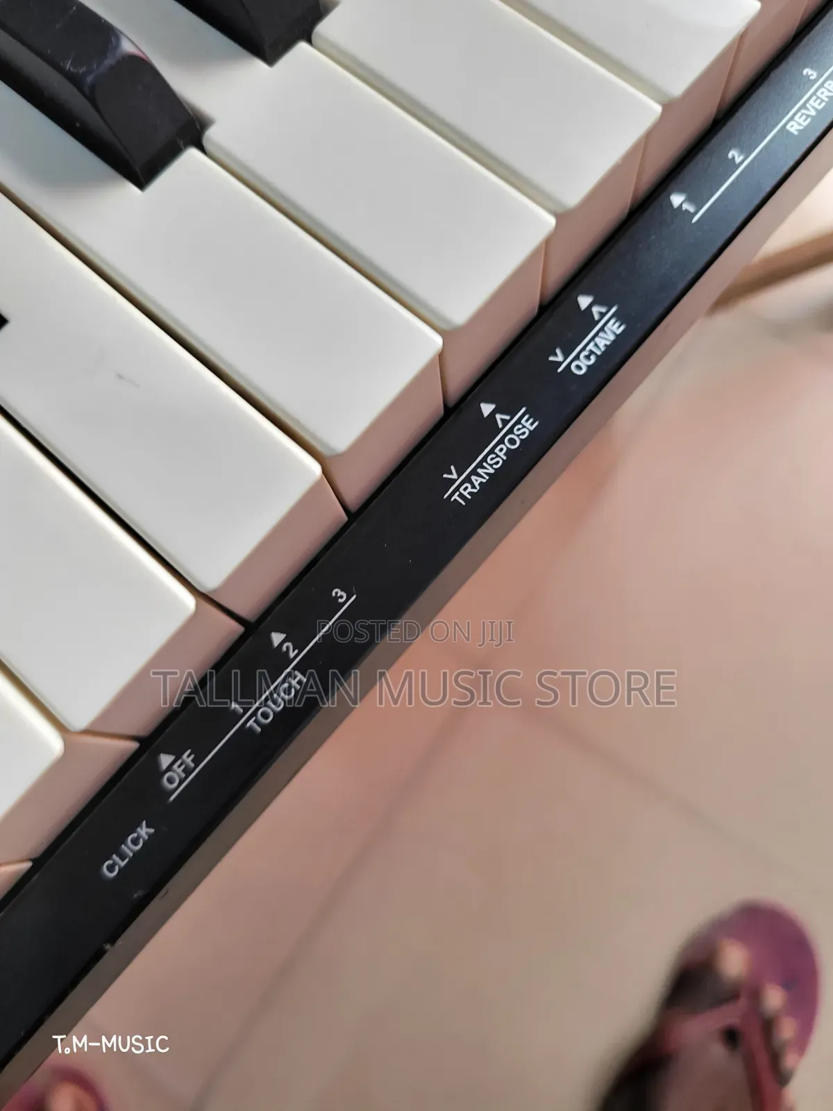 Reve Rp20 Piano
