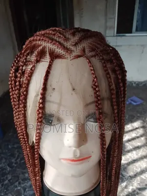 Braided Wig