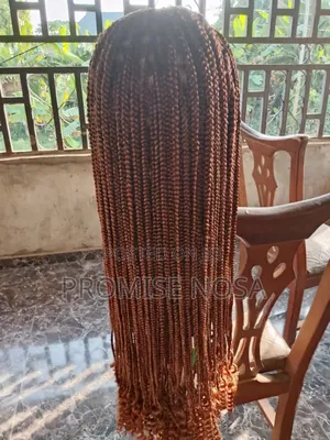 Braided Wig