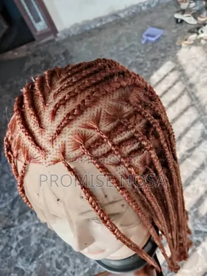 Braided Wig