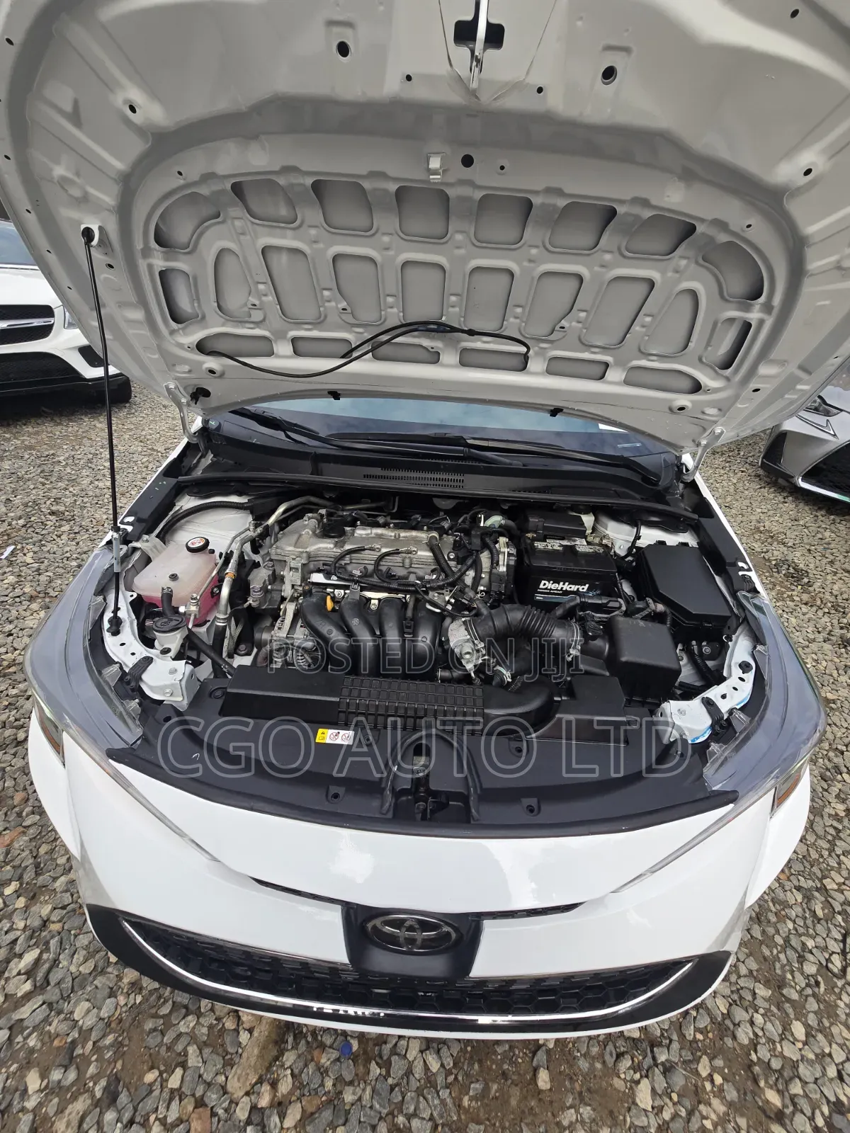 Toyota Corolla 2022 White
