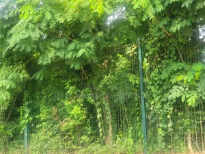 50.14 Hectares of Land Available for Sale
Location: Wasa–Apo Abuja