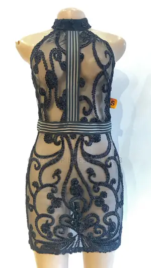 Sexy Black Mesh Lace Bodycon Mini Dress