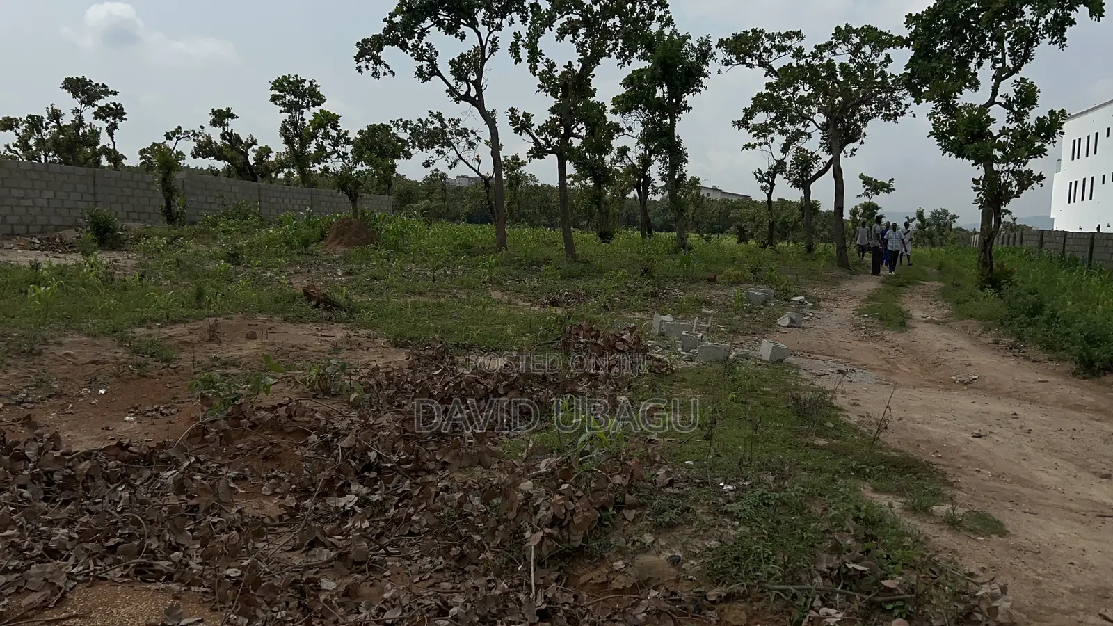 Residence Plot