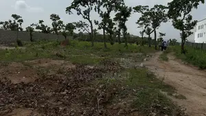 Residence Plot