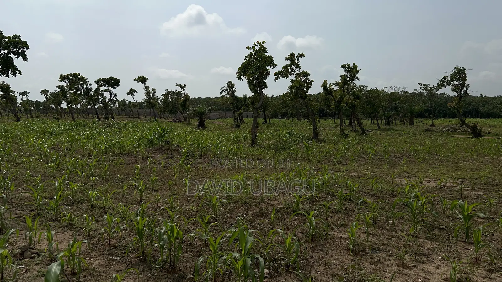  Residential Plot