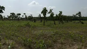  Residential Plot