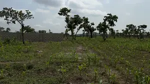  Residential Plot