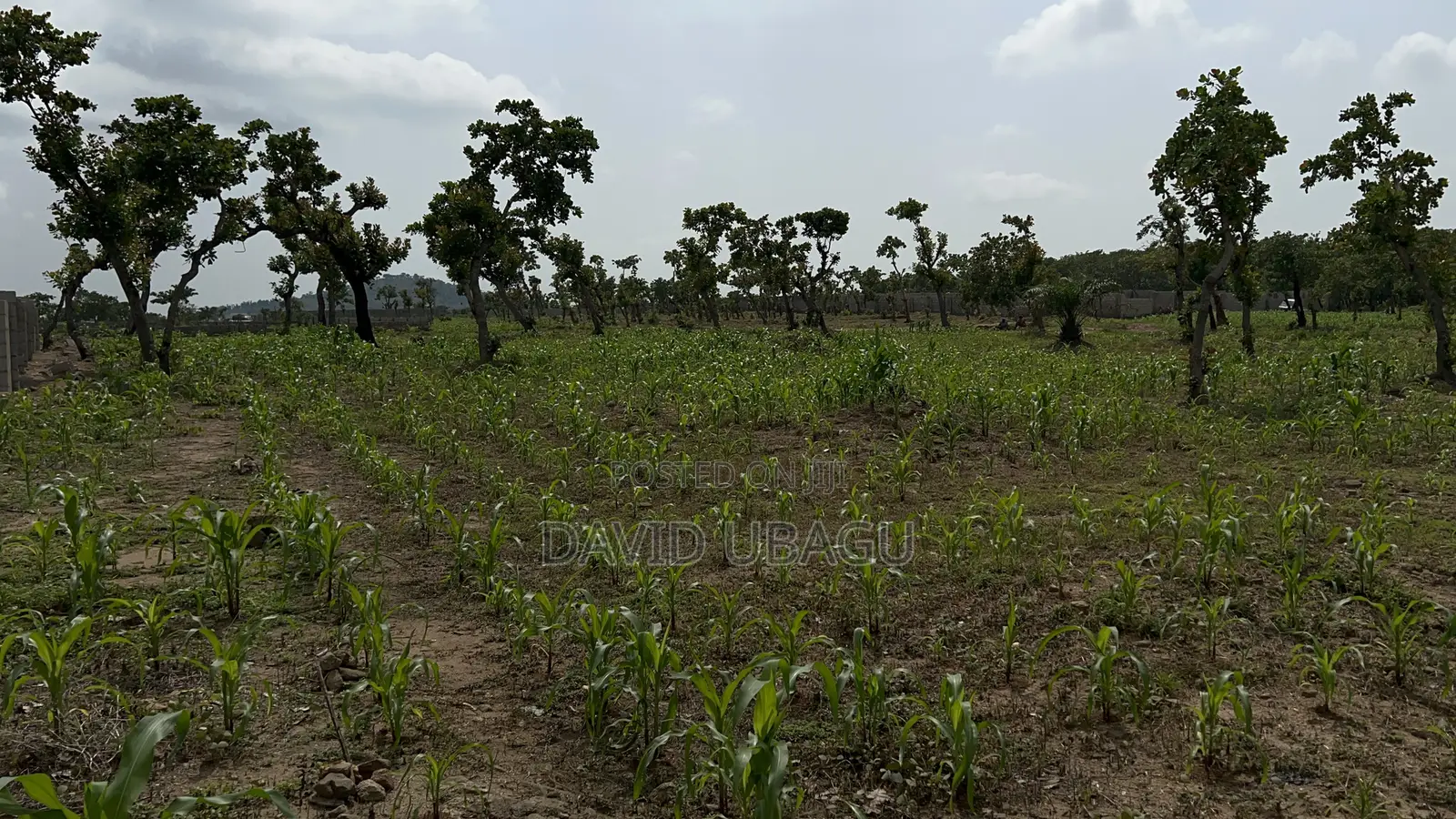  Residential Plot