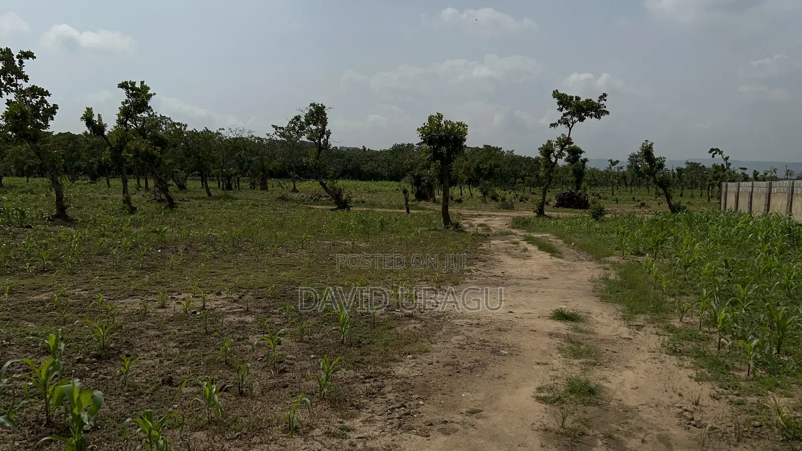  Residential Plot