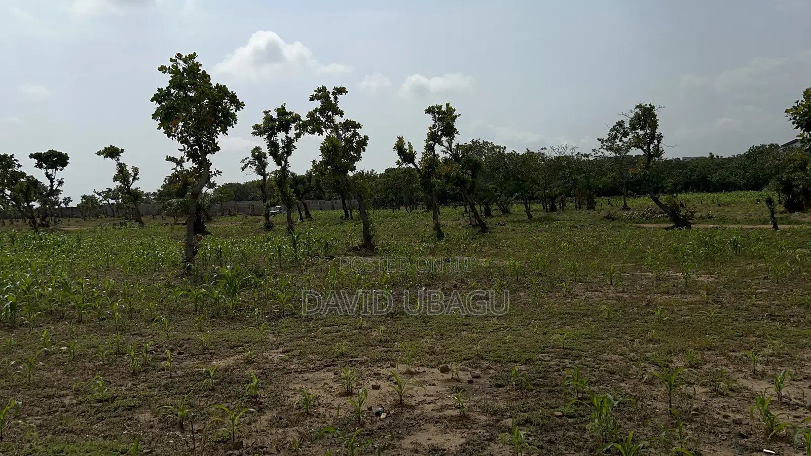  Residential Plot