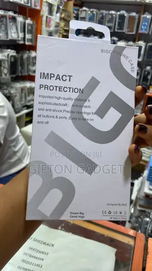 17 Pro Case