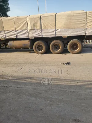 Dangote Cement Distributor