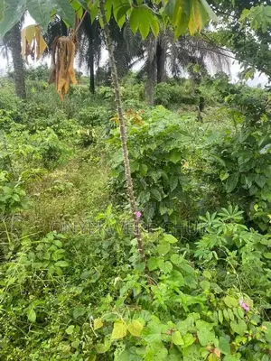 Land at Mbiabong Itam