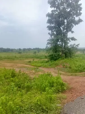2500 Acres of Land for Sale Along Ilero Igana Road at Cheaper Rate