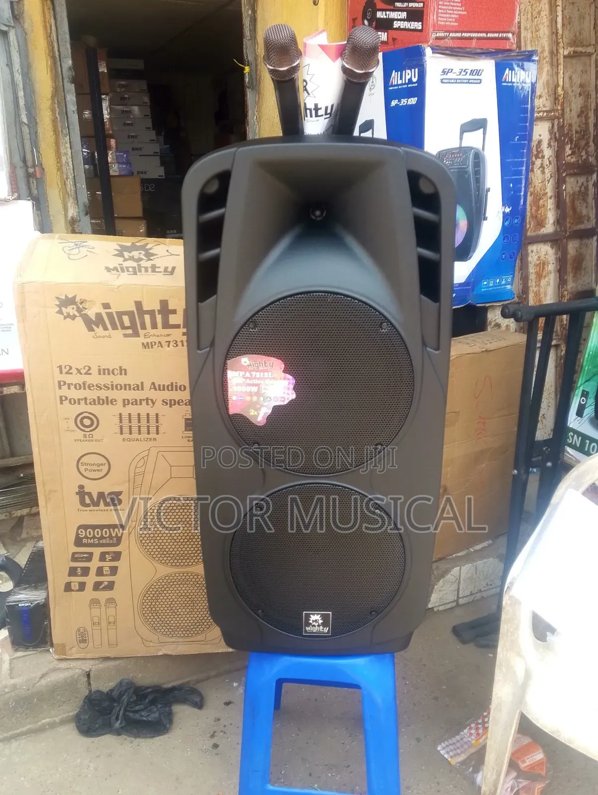 Double 12" Pa System (Might Pro