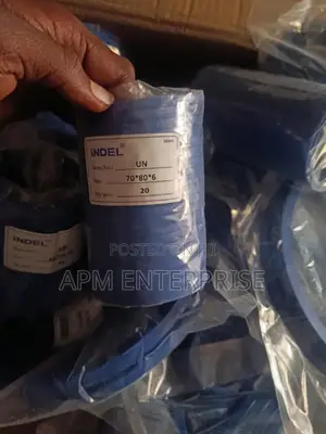 Hydraulic Seals (Un,Uhs,Uns,Idu,Odu)