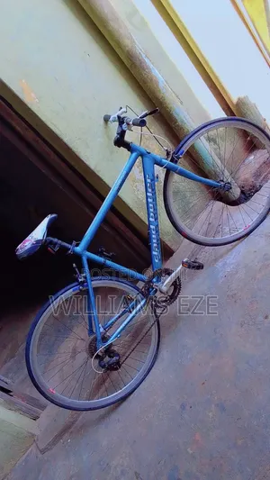 Imported Bicycle for Sell