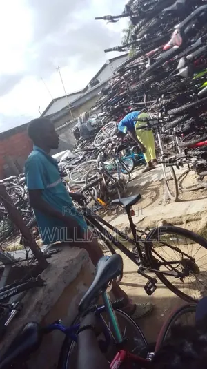 Imported Bicycle for Sell