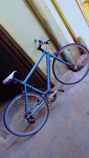 Imported Bicycle for Sell
