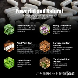 Biyode Testosterone Boost Capsules for Men – Energy and Strength