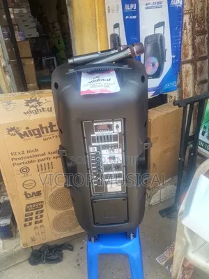 Double 12" Pa System (Might Pro