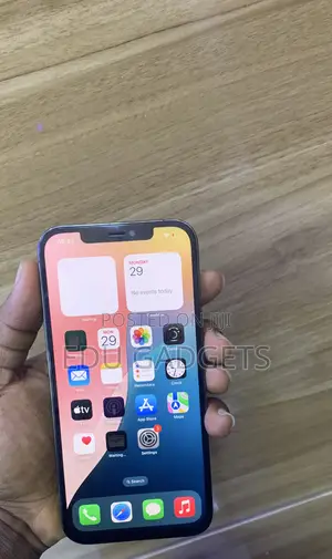 Apple iPhone 12 Pro Max 256 GB Black