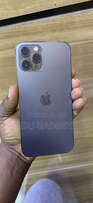 Apple iPhone 12 Pro Max 256 GB Black