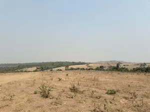 Flat Land in Idu for Sale