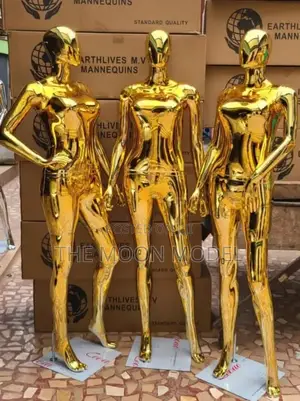 Modeling Gold Mannequin