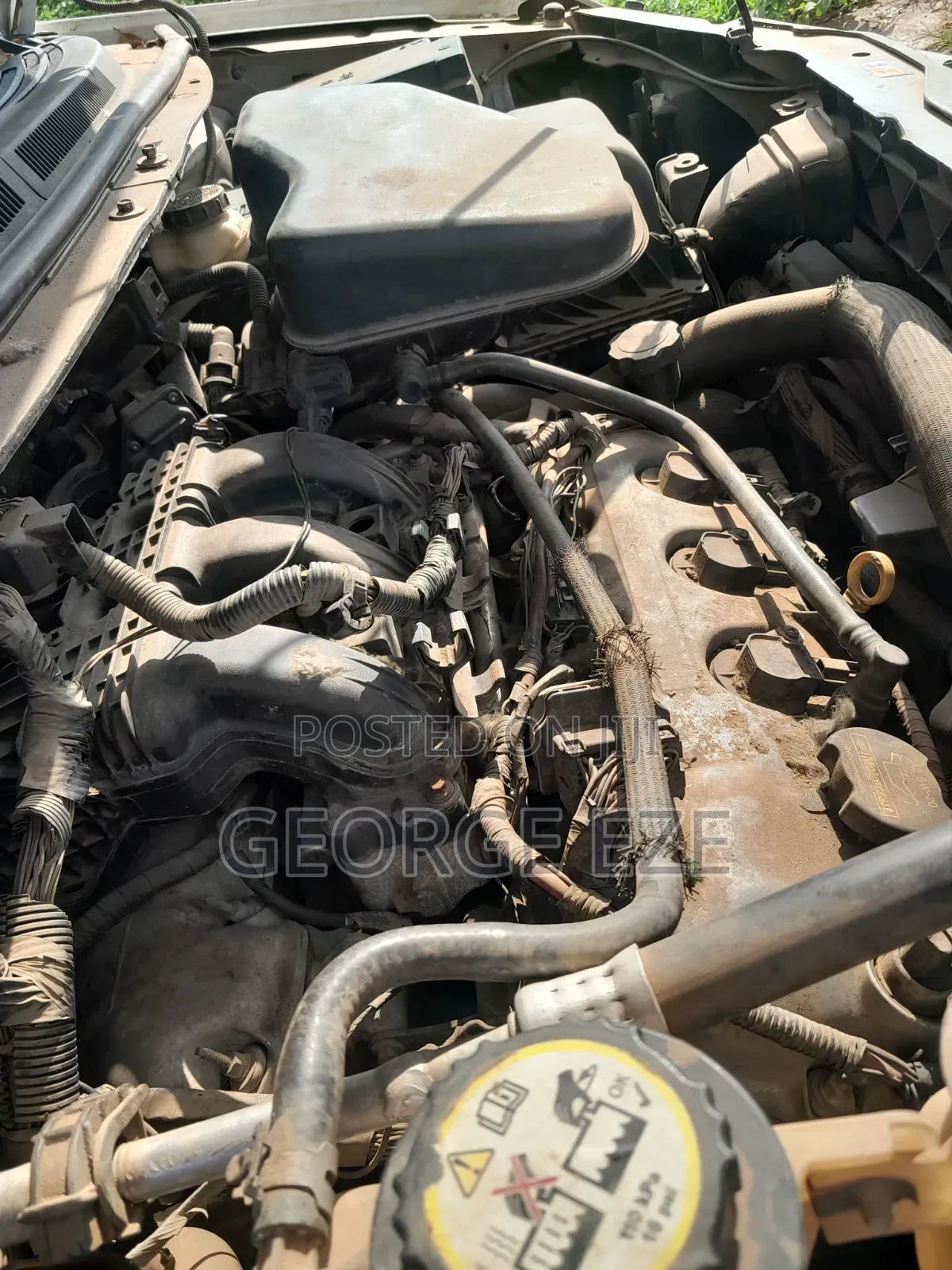Ford Edge 2008 White