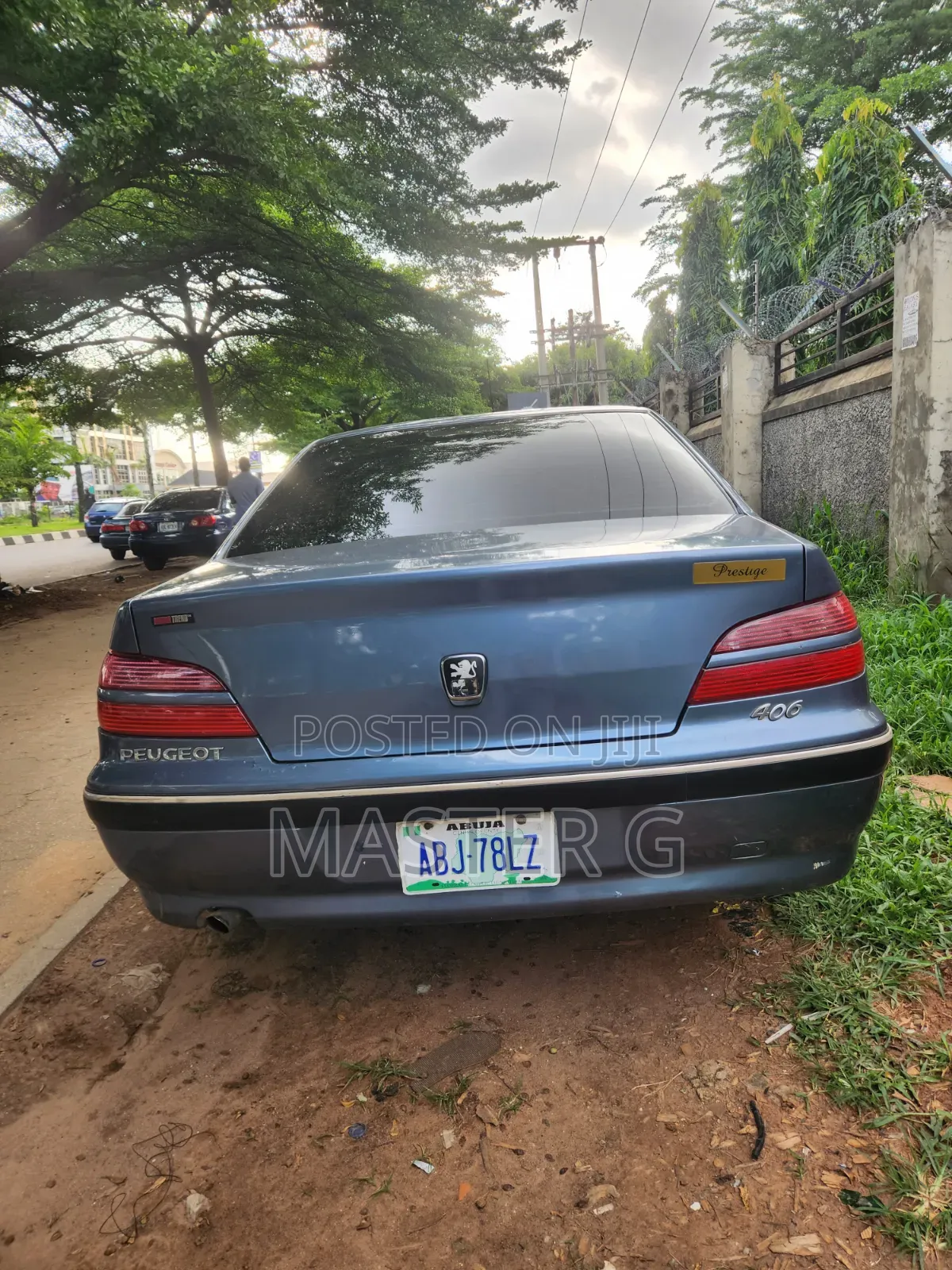 Peugeot 406 2007 Gray