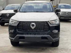 New Great Wall King Kong Poer 2024 Black