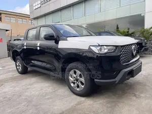 New Great Wall King Kong Poer 2024 Black