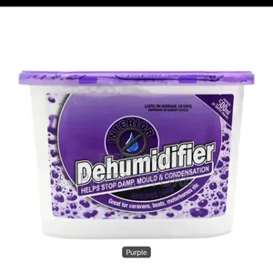 Interior Dehumidifier