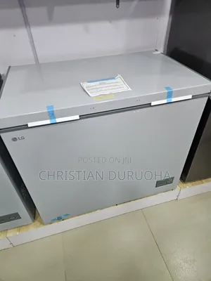 Lg Freezer 246l
