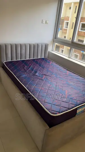 Bedframe and Mattress