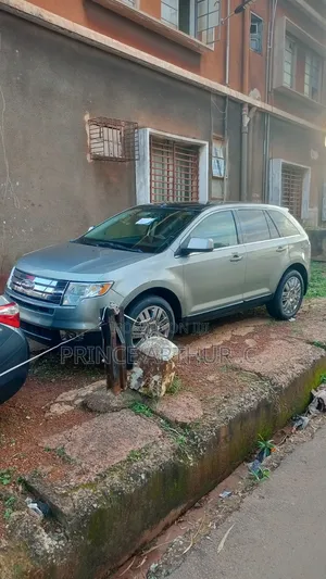 Ford Edge 2008 Gray