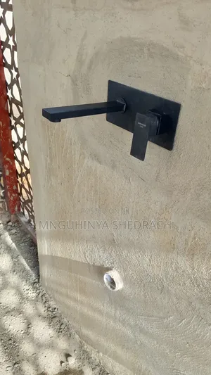 Plumbing Sentry Filithings