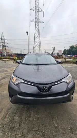Toyota RAV4 LE 4dr SUV AWD (2.5L 4cyl 6A) 2018 Gray