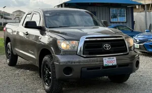 Toyota Tundra 2008 Gray